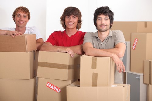 Professional van moving team completing a safe delivery in Beddington