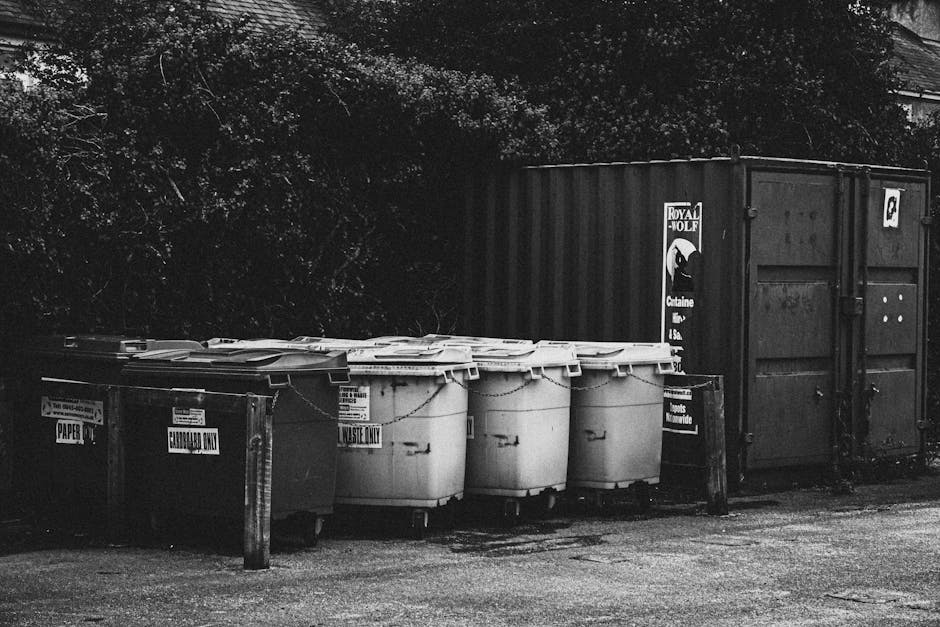 A row of five large waste collection bins and a single smaller bin positioned outside a building on a paved surface, with three of the larger bins designated for landfill waste, one for recyclable paper, and another for other waste, all featuring labeled signs. The bins are made of hard plastic with lids, and some are secured with metal chains. Behind the bins, a dark shipping container or storage unit made of corrugated metal with a lockable double door is visible, situated next to a fence post on a paved pathway. The scene is set outdoors, with trees and foliage visible in the background, and the lighting appears natural but dim, suggesting overcast weather or early morning/late afternoon. This image reflects the process of waste management and disposal ahead of home relocation or packing and moving activities, as handled by Man with Van Beddington, in line with Croydon Council disposal rules affecting house clearouts in Beddington.